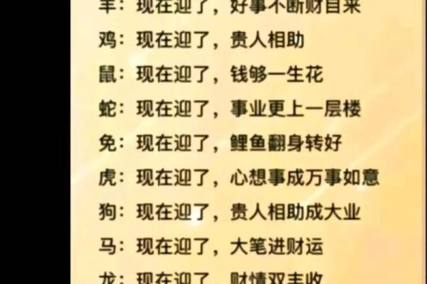 每日运势生肖十二星座网