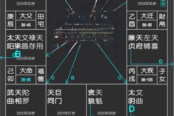 紫薇在官禄宫旺