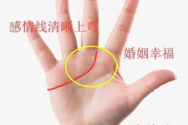 男人左手手纹算命图解婚姻线 感情线预示感情状况