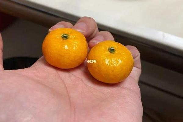 配对盘怎么看,配对盘解读