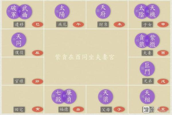 紫薇星贪狼星在福德宫