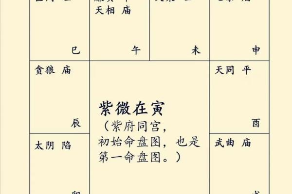 紫薇斗数32星曜