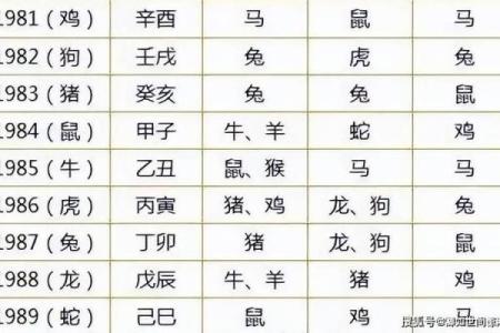 1992年属什么生肖配对