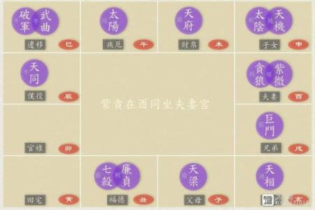 紫薇星贪狼星在福德宫