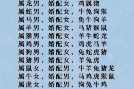 男91年羊和93年女鸡可婚配吗 91年羊男和93年鸡女是否适合婚姻配对
