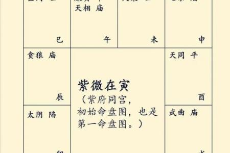 紫薇斗数32星曜