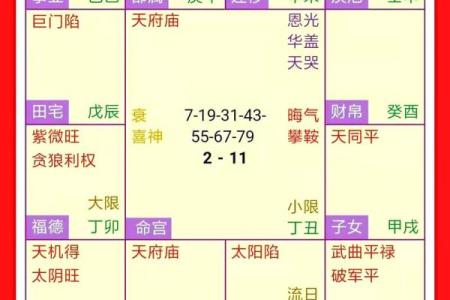 紫薇斗数网上命例
