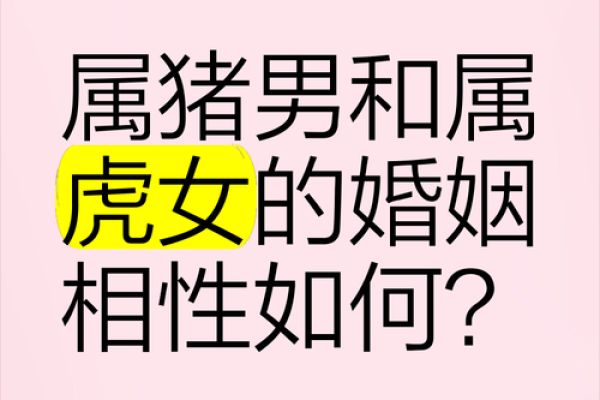 生肖配对 属虎的女人和什么属相最配