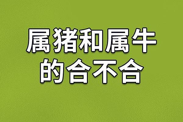 属猪男和什么属相配吗，属猪男和什么属相配对？