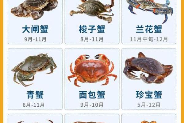 哪个星座喜欢吃螃蟹