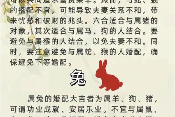 生肖兔配对猴姻缘表 生肖兔和生肖猴配不配？