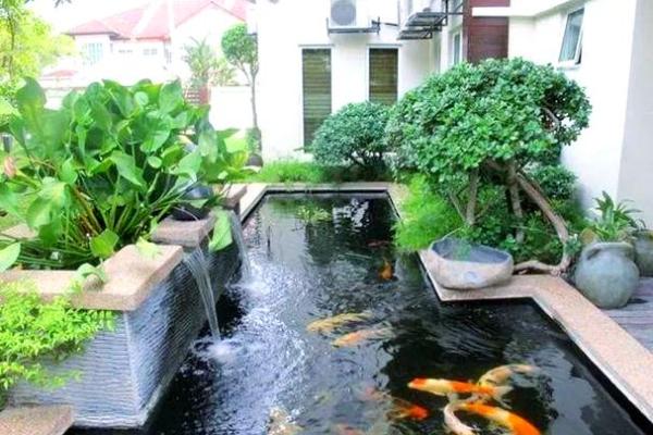 房子东面建鱼池风水好吗