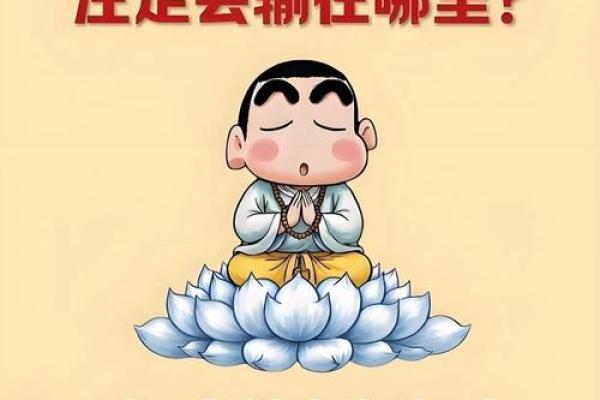 属鼠B血型的人性格与事业姻缘