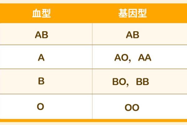 属鼠B血型的人性格与事业姻缘