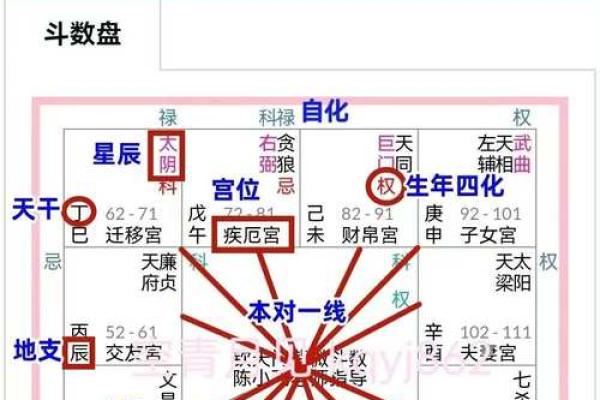 《紫微斗数》命盘解析可以运用哪些领域？