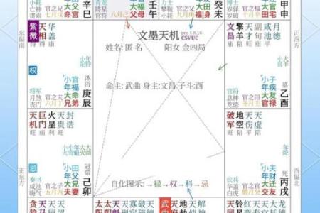 怎样解紫薇斗数