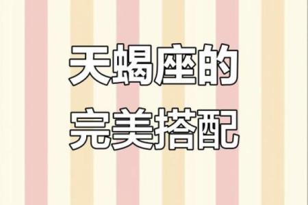 天蝎座更适合和哪个人配对呢