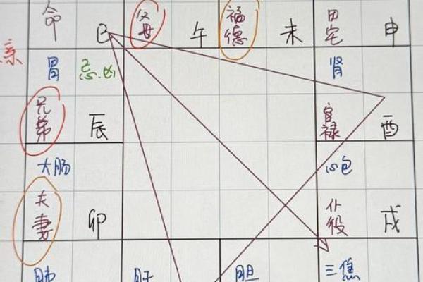 紫微斗数诸星落命宫之：生年博士十二神详解