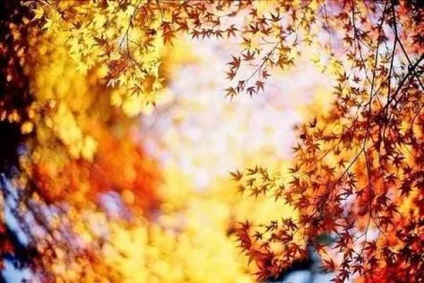 丙申日婚姻分析吉凶方位