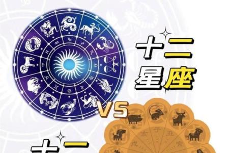 十二星座哪个生肖女最美丽