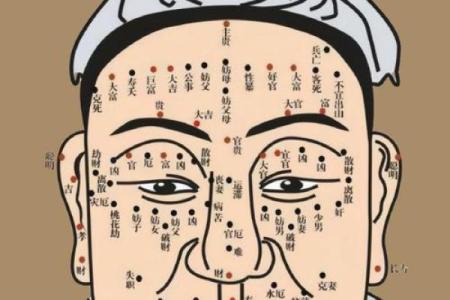相面八字眉的面相解析与注重方法详解