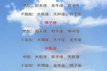 狮子座配对射手座的男生好吗