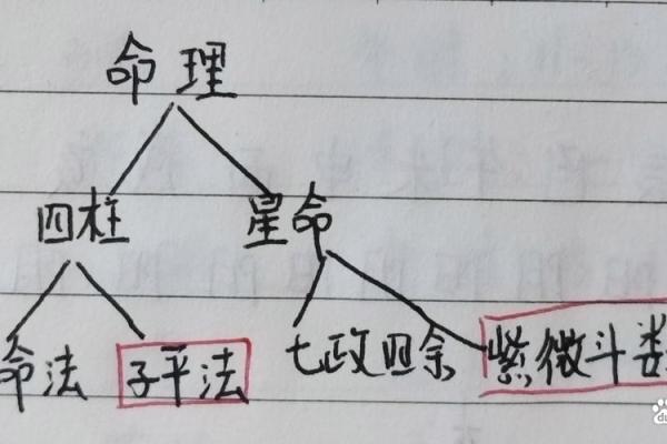命理学：八字预测的基本分析方法，学会大有益处！_1