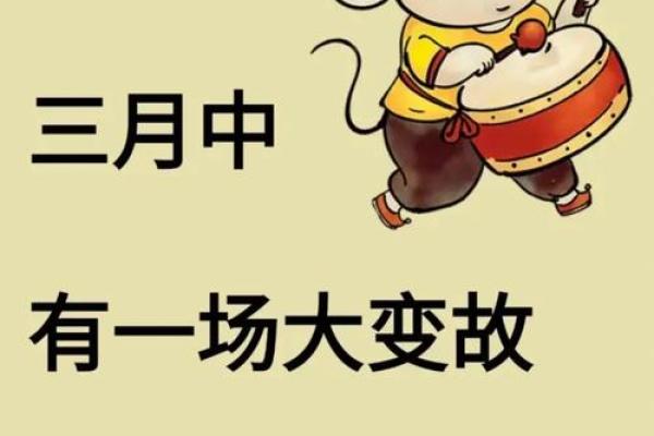 属鼠人招姻缘 属鼠姻缘在哪个方位？