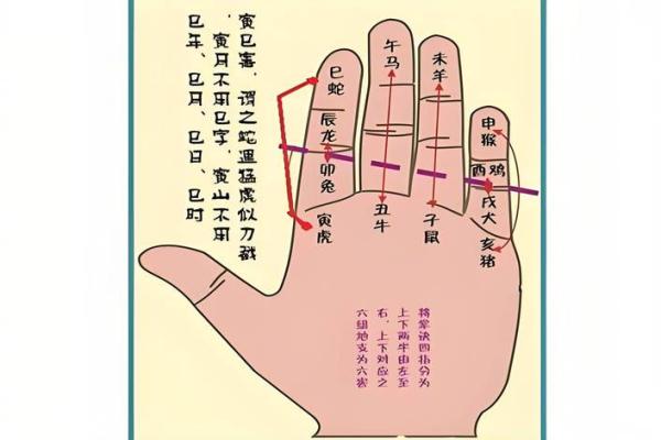 算命和八字