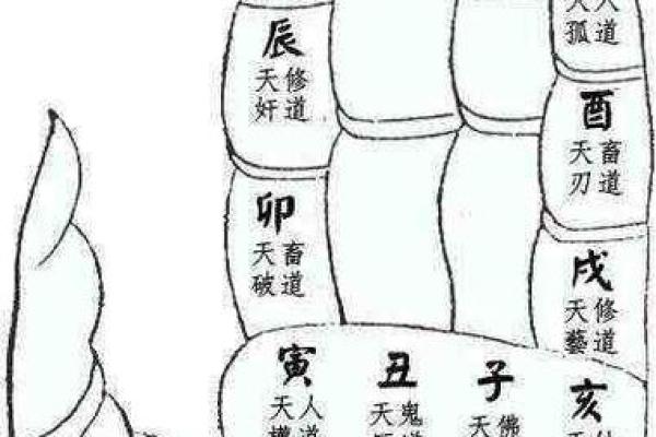 八字与六道