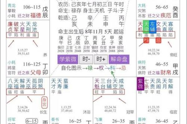 紫薇斗数各星代表意象表格