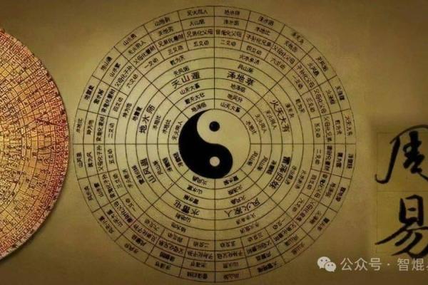 八字命理看小杨哥的命运