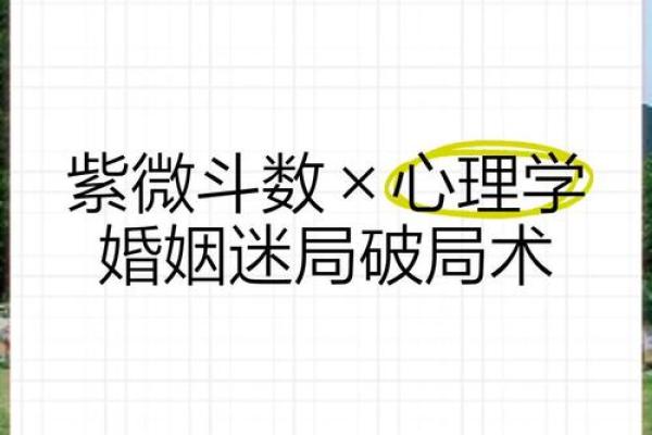 紫薇斗数煞星破局