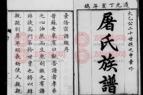 姓申屠的名人-姓名学-华易算命网姓名