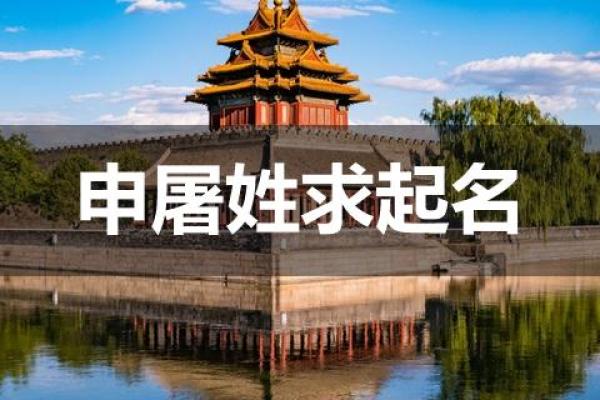 姓申屠的名人-姓名学-华易算命网姓名