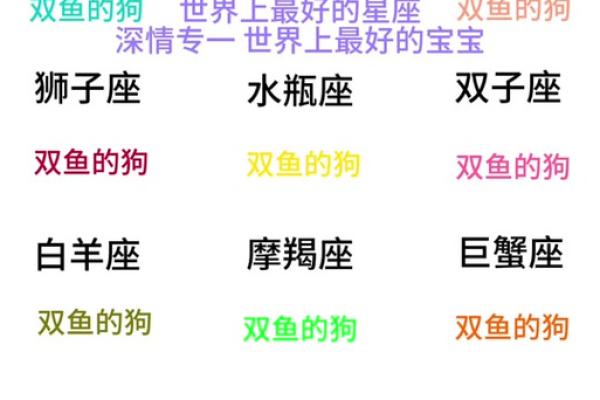 十二星座为什么难追双鱼女生