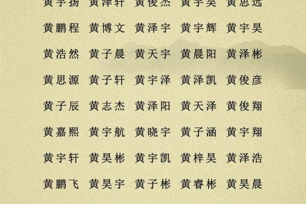 2019年5月23号子时出生的男孩起名时要注意什么姓名