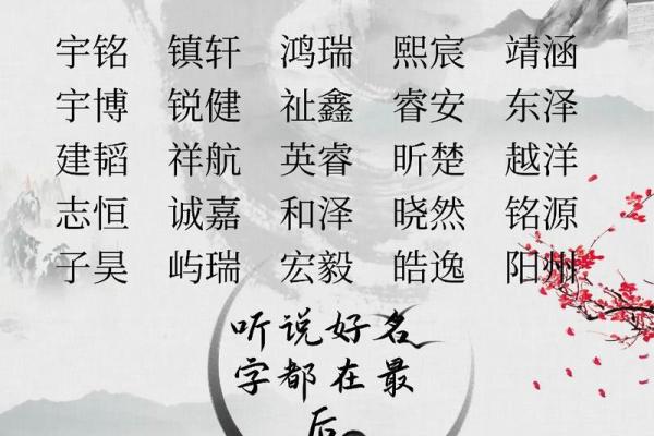 2019年5月23号子时出生的男孩起名时要注意什么姓名