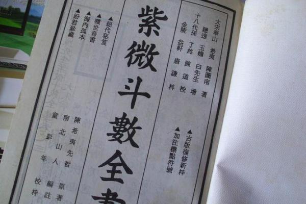 艺术紫薇斗数