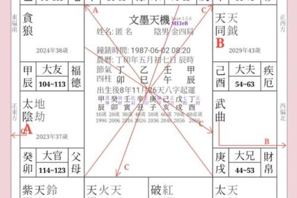 紫微斗数诸星落诸宫之：破军星夫妻宫详解