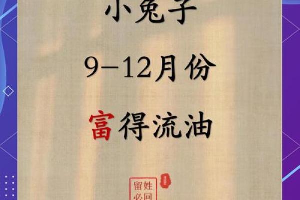 12月份出生的属兔男孩取哪些名字好姓名