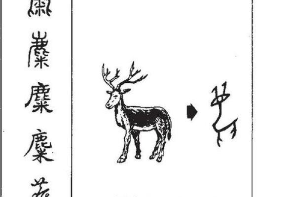 生辰八字字的拼音怎么读