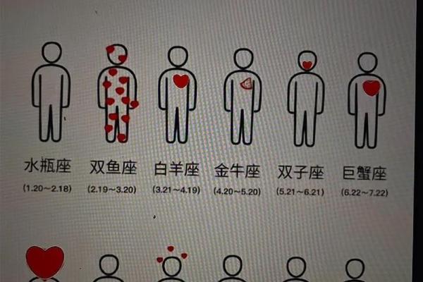 摩羯女和什么星座更合适男生