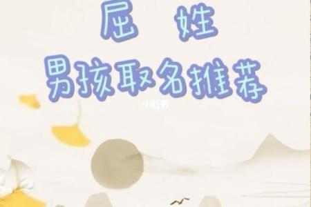 屈姓女孩名字大全-屈姓女孩起名字大全-屈姓名字大全姓名