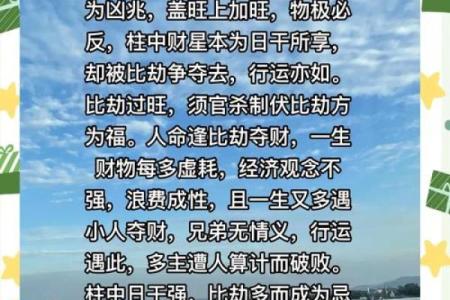 八字比劫多