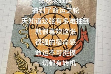 超准塔罗测试 测测2024年你哪方面运势好到开挂