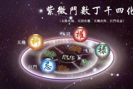 紫微斗数之流星的看法，流年岁前十二神吉凶断：官符