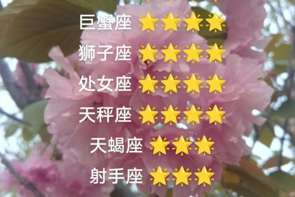 星座运势双子与天蝎座