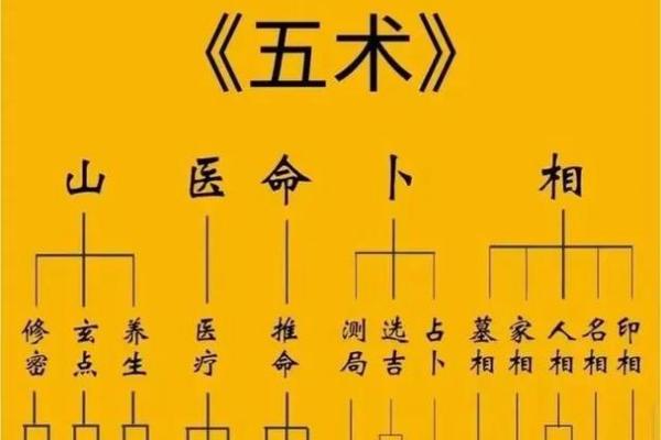 紫薇斗数讨论