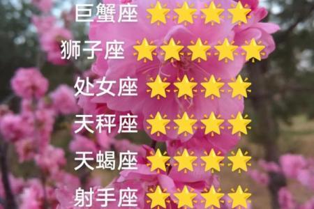 星座运势双子与天蝎座